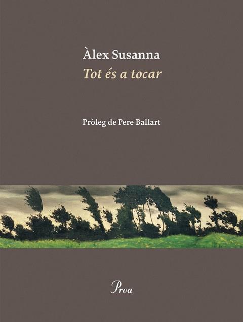 TOT ÉS A TOCAR | 9788410488045 | SUSANNA, ÀLEX | Llibreria Aqualata | Comprar llibres en català i castellà online | Comprar llibres Igualada