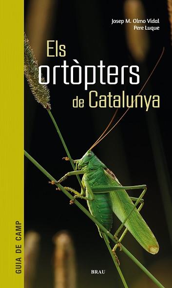 ORTÒPTERS DE CATALUNYA, ELS | 9788418096266 | OLMO VIDAL, JOSEP M / LUQUE PINO, PERE | Llibreria Aqualata | Comprar llibres en català i castellà online | Comprar llibres Igualada