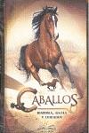 MINILIBROS CABALLOS | 9786123030230 | AA.VV. | Llibreria Aqualata | Comprar libros en catalán y castellano online | Comprar libros Igualada