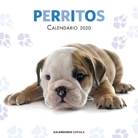 2020 CALENDARIO PERRITOS | 9788448026158 | AA. VV. | Llibreria Aqualata | Comprar llibres en català i castellà online | Comprar llibres Igualada