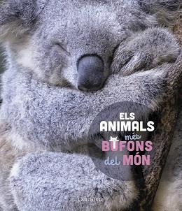 ANIMALS MÉS BUFONS DEL MÓN, ELS | 9788419436184 | LEDU, STÉPHANIE | Llibreria Aqualata | Comprar llibres en català i castellà online | Comprar llibres Igualada