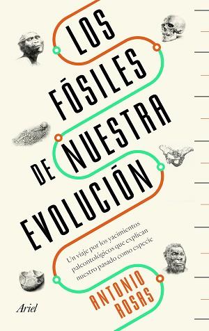 FÓSILES DE NUESTRA EVOLUCIÓN, LOS | 9788434429642 | ROSAS, ANTONIO | Llibreria Aqualata | Comprar llibres en català i castellà online | Comprar llibres Igualada