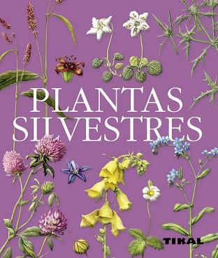 PLANTAS SILVESTRES | 9788499280110 | TOMANOVÁ, ELISKA | Llibreria Aqualata | Comprar libros en catalán y castellano online | Comprar libros Igualada