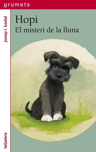 HOPI 1. EL MISTERI DE LA LLUNA | 9788424675271 | BADAL, JOSEP LL | Llibreria Aqualata | Comprar llibres en català i castellà online | Comprar llibres Igualada