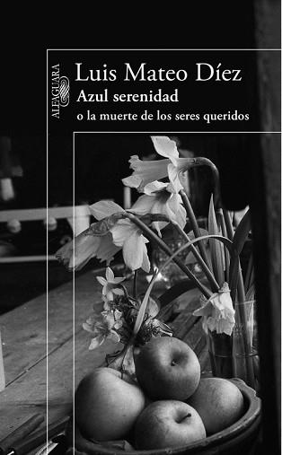 AZUL SERENIDAD O LA MUERTE DE LOS SERES QUERIDOS | 9788420406183 | DIEZ, LUIS MATEO | Llibreria Aqualata | Comprar llibres en català i castellà online | Comprar llibres Igualada