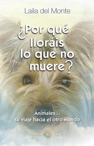 POR QUÉ LLORÁIS LO QUE NO MUERE? | 9788494065842 | Llibreria Aqualata | Comprar libros en catalán y castellano online | Comprar libros Igualada