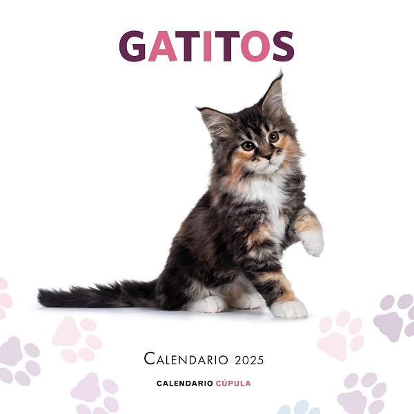 2025 CALENDARIO GATITOS | 9788448041656 | AA. VV. | Llibreria Aqualata | Comprar llibres en català i castellà online | Comprar llibres Igualada