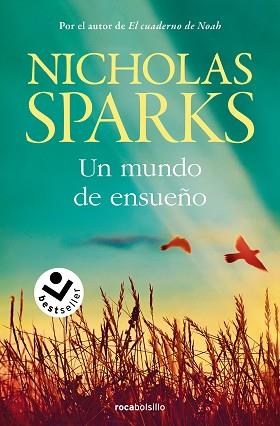 UN MUNDO DE ENSUEÑO | 9788419498311 | SPARKS, NICHOLAS | Llibreria Aqualata | Comprar llibres en català i castellà online | Comprar llibres Igualada