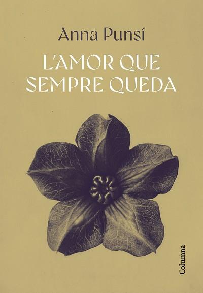 AMOR QUE SEMPRE QUEDA, L' | 9788466432382 | PUNSÍ LLADÓ, ANNA | Llibreria Aqualata | Comprar llibres en català i castellà online | Comprar llibres Igualada