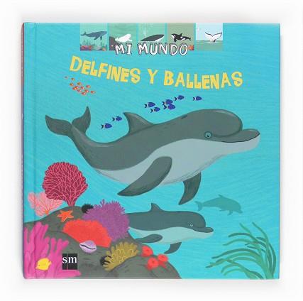 DELFINES Y BALLENAS (MI MUNDO 38) | 9788467537994 | BAUSSIER, SYLVIE | Llibreria Aqualata | Comprar libros en catalán y castellano online | Comprar libros Igualada