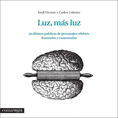 LUZ, MÁS LUZ | 9788416033348 | VICENTE RÓDENAS, JORDI / DÍAZ CUBEIRO, CARLOS | Llibreria Aqualata | Comprar libros en catalán y castellano online | Comprar libros Igualada