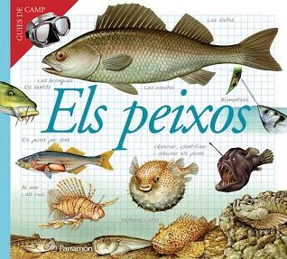 PEIXOS (GUIES DE CAMP) | 9788434228405 | * | Llibreria Aqualata | Comprar libros en catalán y castellano online | Comprar libros Igualada