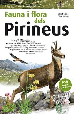 FAUNA I FLORA DELS PIRINEUS | 9788415885559 | GUIXÉ COROMINES, DAVID | Llibreria Aqualata | Comprar llibres en català i castellà online | Comprar llibres Igualada