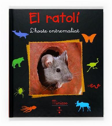 RATOLI, EL. L'HOSTE ENTREMALIAT (MINIZOO) | 9788466120364 | FRATTINI, STEPHANE | Llibreria Aqualata | Comprar llibres en català i castellà online | Comprar llibres Igualada