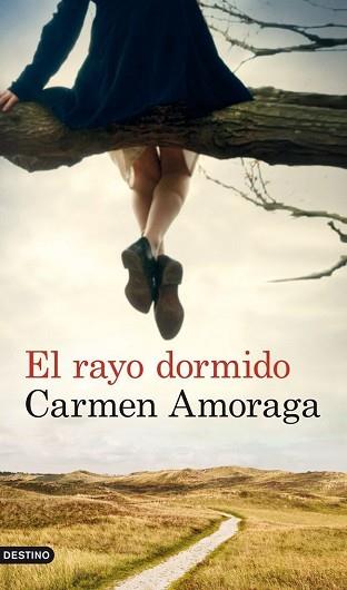 RAYO DORMIDO, EL | 9788423327133 | AMORAGA, CARMEN | Llibreria Aqualata | Comprar llibres en català i castellà online | Comprar llibres Igualada