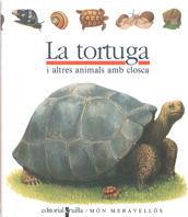 TORTUGA, LA (MON MERAVELLOS 24) | 9788476298206 | GALLIMARD JEUNESSE, ÉDITIONS | Llibreria Aqualata | Comprar llibres en català i castellà online | Comprar llibres Igualada