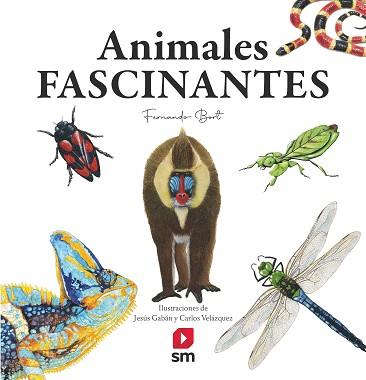 ANIMALES FASCINANTES | 9788413922188 | BORT MISOL, FERNANDO | Llibreria Aqualata | Comprar libros en catalán y castellano online | Comprar libros Igualada