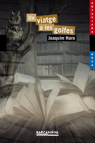 UN VIATGE A LES GOLFES (ANTAVIANA NOVA 196) | 9788448938598 | HARO, JOAQUIM | Llibreria Aqualata | Comprar llibres en català i castellà online | Comprar llibres Igualada