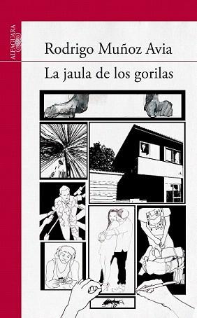 JAULA DE LOS GORILAS, LA | 9788420407388 | MUÑOZ AVIA, RODRIGO | Llibreria Aqualata | Comprar llibres en català i castellà online | Comprar llibres Igualada