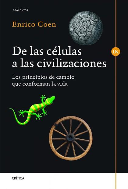 DE LAS CÉLULAS A LAS CIVILIZACIONES | 9788498924954 | COEN, ENRICO  | Llibreria Aqualata | Comprar libros en catalán y castellano online | Comprar libros Igualada