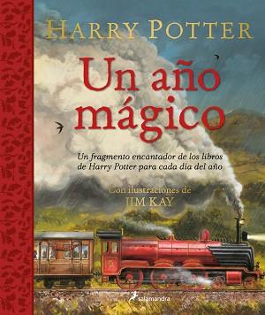 HARRY POTTER: UN AÑO MÁGICO | 9788418797125 | KAY, JIM/ROWLING, J.K. | Llibreria Aqualata | Comprar libros en catalán y castellano online | Comprar libros Igualada