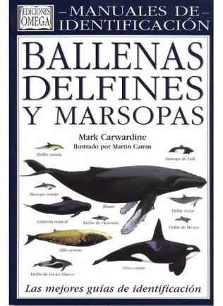 BALLENAS DELFINES Y MARSOPAS | 9788428210379 | CAEWARDINE, MARK | Llibreria Aqualata | Comprar llibres en català i castellà online | Comprar llibres Igualada