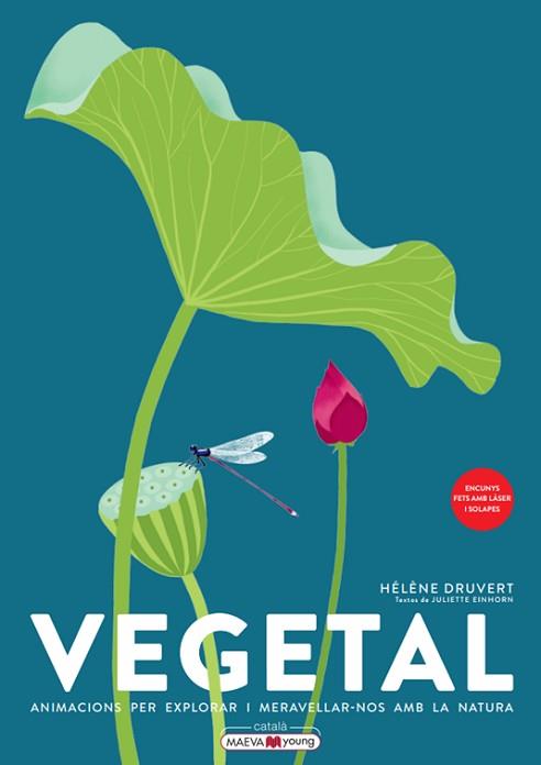 VEGETAL | 9788419110886 | DRUVERT, HÉLÈNE | Llibreria Aqualata | Comprar libros en catalán y castellano online | Comprar libros Igualada