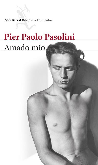 AMADO MÍO | 9788432222870 | PASOLINI, PIER PAOLO | Llibreria Aqualata | Comprar libros en catalán y castellano online | Comprar libros Igualada