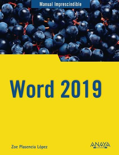 WORD 2019 | 9788441541146 | PLASENCIA LÓPEZ, ZOE | Llibreria Aqualata | Comprar llibres en català i castellà online | Comprar llibres Igualada