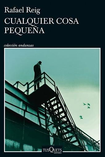 CUALQUIER COSA PEQUEÑA | 9788411074728 | REIG, RAFAEL | Llibreria Aqualata | Comprar llibres en català i castellà online | Comprar llibres Igualada