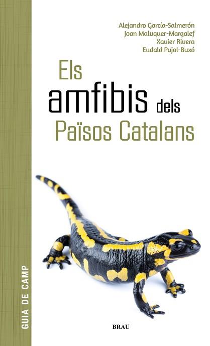 AMFIBIS DELS PAÏSOS CATALANS, ELS | 9788418096341 | GARCÍA SALMERÓN, ALEJANDRO/MALUQUER MARGALEF, JOAN/RIVERA MULA, XAVIER/PUJOL BUXÓ, EUDALD | Llibreria Aqualata | Comprar llibres en català i castellà online | Comprar llibres Igualada