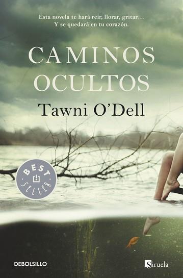 CAMINOS OCULTOS | 9788490325353 | O'DELL, TAWNI | Llibreria Aqualata | Comprar llibres en català i castellà online | Comprar llibres Igualada