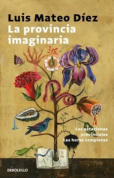 PROVINCIA IMAGINARIA, LA | 9788466338691 | DIEZ, LUIS MATEO | Llibreria Aqualata | Comprar llibres en català i castellà online | Comprar llibres Igualada