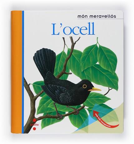 OCELL, L' (MON MERAVELLOS 7) | 9788466125161 | DELAFOSSE, CLAUDE/METTLER, RENÉ/GALLIMARD JEUNESSE, ÉDITIONS | Llibreria Aqualata | Comprar libros en catalán y castellano online | Comprar libros Igualada