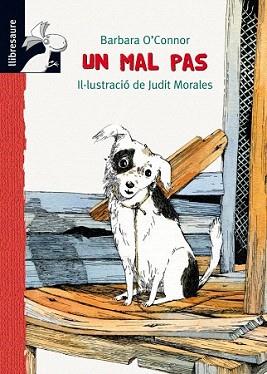 UN MAL PAS (LLIBRESAURE +10) | 9788479428228 | O'CONNOR, BARBARA | Llibreria Aqualata | Comprar libros en catalán y castellano online | Comprar libros Igualada