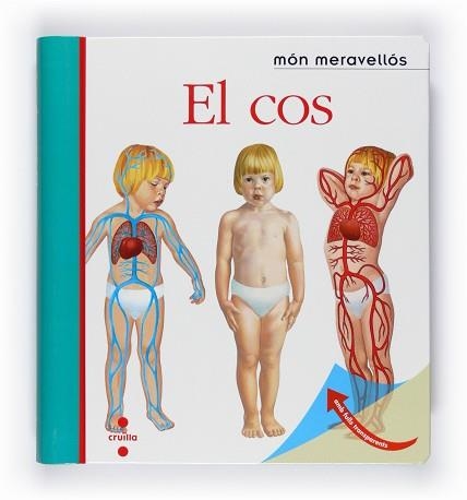 COS, EL (MON MERAVELLOS 8) | 9788466125154 | GALLIMARD JEUNESSE, ÉDITIONS | Llibreria Aqualata | Comprar llibres en català i castellà online | Comprar llibres Igualada