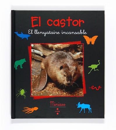 CASTOR, EL (MINI ZOO - LLETRA LLIGADA) | 9788466124232 | TRACQUI, VALÉRIE | Llibreria Aqualata | Comprar llibres en català i castellà online | Comprar llibres Igualada