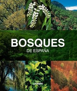 BOSQUES DE ESPAÑA | 9788497857482 | JOAQUÍN ARAÚJO | Llibreria Aqualata | Comprar llibres en català i castellà online | Comprar llibres Igualada