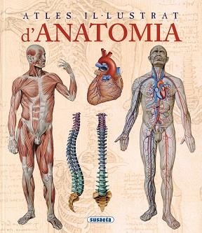 ATLES IL·LUSTRAT D'ANATOMIA | 9788467702101 | RIGUTTI, ADRIANA | Llibreria Aqualata | Comprar llibres en català i castellà online | Comprar llibres Igualada