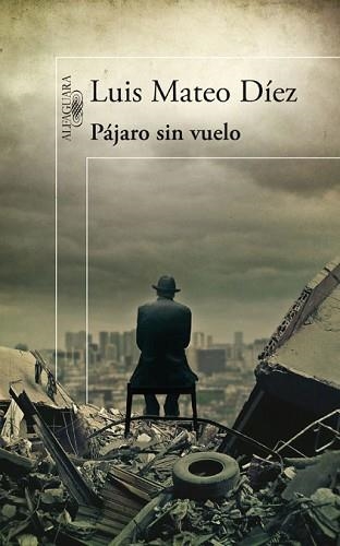 PAJARO SIN VUELO | 9788420474984 | MATEO DIEZ, LUIS | Llibreria Aqualata | Comprar llibres en català i castellà online | Comprar llibres Igualada