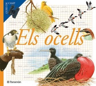 OCELLS, ELS | 9788434228283 | Llibreria Aqualata | Comprar llibres en català i castellà online | Comprar llibres Igualada