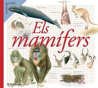 MAMIFERS (GUIES DE CAMP) | 9788434228368 | VVAA | Llibreria Aqualata | Comprar llibres en català i castellà online | Comprar llibres Igualada