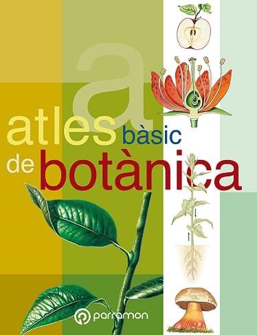 ATLES BASIC DE BOTANICA | 9788434224636 | CUERDA QUINTANA, JOSEP | Llibreria Aqualata | Comprar llibres en català i castellà online | Comprar llibres Igualada