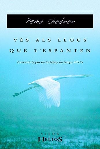 VES ALS LLOCS QUE T'ESPANTEN. CONVERTIR LA POR EN (VIENA) | 9788483302323 | CHODRON, PEMA | Llibreria Aqualata | Comprar llibres en català i castellà online | Comprar llibres Igualada