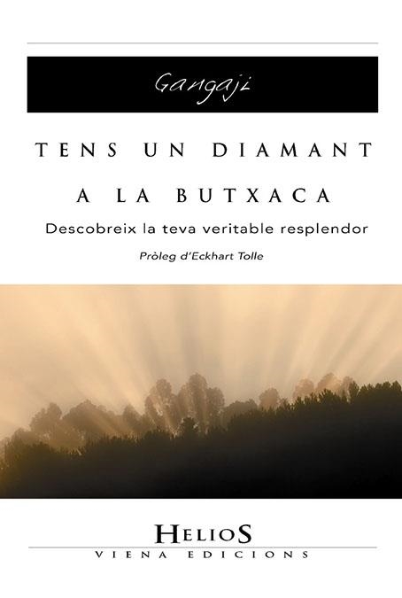 TENS UN DIAMANT A LA BUTXACA (22) | 9788483304525 | GANGAJI | Llibreria Aqualata | Comprar llibres en català i castellà online | Comprar llibres Igualada