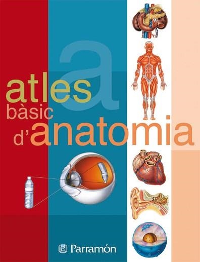 ATLES BASIC D'ANATOMIA | 9788434223134 | PARRAMON | Llibreria Aqualata | Comprar llibres en català i castellà online | Comprar llibres Igualada