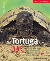 MI TORTUGA Y YO | 9788425514913 | WILKE/STEIMER | Llibreria Aqualata | Comprar llibres en català i castellà online | Comprar llibres Igualada