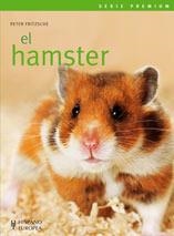 HAMSTER, EL | 9788425517884 | FRITZSCHE, PETER | Llibreria Aqualata | Comprar llibres en català i castellà online | Comprar llibres Igualada