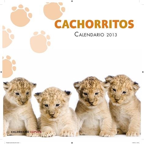 2013 CALENDARIO CACHORRITOS  | 9788448006655 | AA. VV. | Llibreria Aqualata | Comprar llibres en català i castellà online | Comprar llibres Igualada