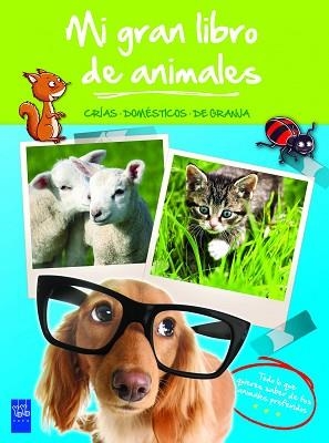 MI GRAN LIBRO DE ANIMALES VERDE. CRÍAS. DOMÉSTICOS. DE GRANJA | 9788408008491 | YOYO | Llibreria Aqualata | Comprar llibres en català i castellà online | Comprar llibres Igualada